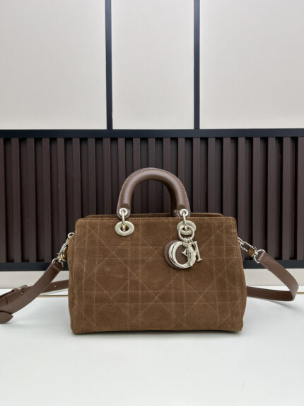 Dior 2026 Paris Runway Edition HEW Lady Dior Suede ABC Series Earthy Brown