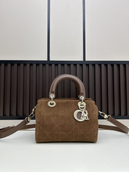 Dior 2026 Paris Runway Edition HEW Lady Dior Suede ABC Series Earthy Medium Earth brown