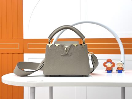 Louis Vuitton Gray with gold Tone Hardware Capucines BB Bag Mni