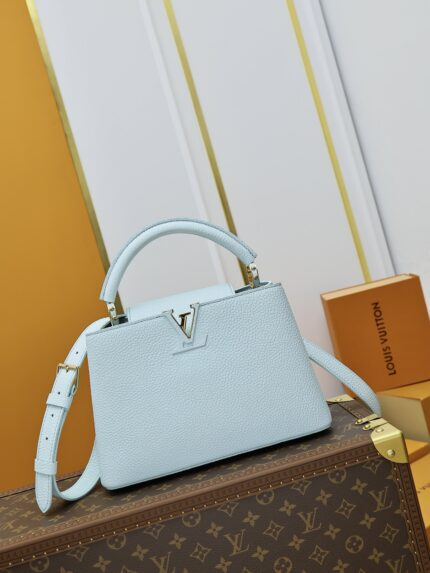 Louis Vuitton CAPUCINES Handbag Blue