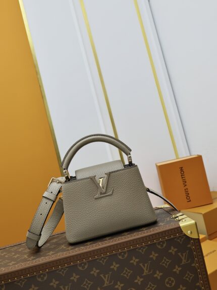 Louis Vuitton CAPUCINES Handbag Gray Mini