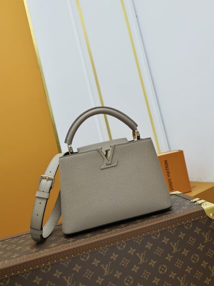 Louis Vuitton CAPUCINES Handbag Gray