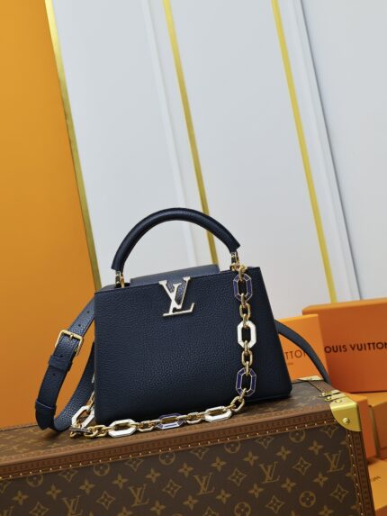 Louis Vuitton CAPUCINES Handbag Dark blue