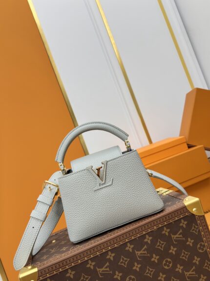 Louis Vuitton CAPUCINES Handbag Light grey with gold Mini