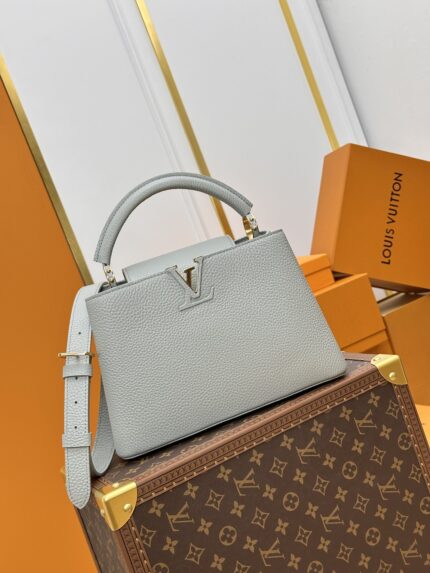 Louis Vuitton CAPUCINES Handbag Light grey with gold