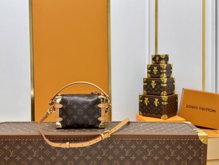 LV Quilted Monogram Cruise Series Box Bag